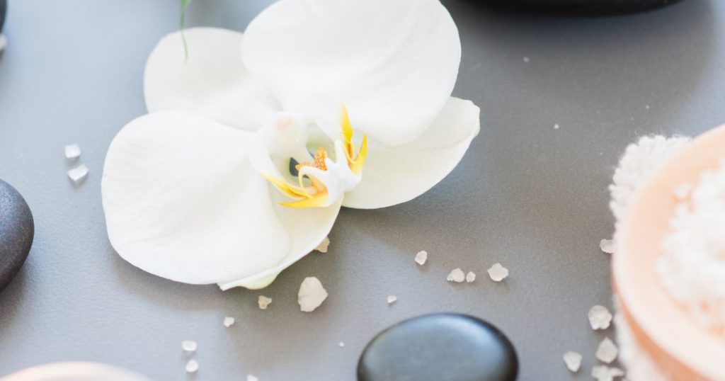 healing mind body connection focusing on emotional and physical well being and obesity concept